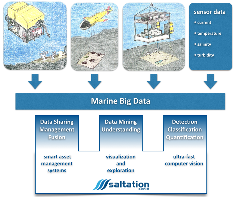 saltation marine schema